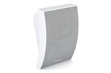Громкоговоритель настенный CVGaudio WPA10TW