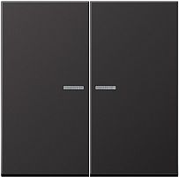 Лицевая панель Jung LS990 metal для 2-кл. выключателя с подсветкой алюминий темный  Jung — купить по цене от 8&nbsp;108 ₽ | ПрофБезопасность