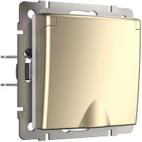 Розетка с заземлением без рамки Werkel 1-м. крышка шторки IP44 шампань металлик