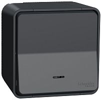 Переключатель с подсветкой накладной Schneider Electric Mureva Styl 1-кл. проходной IP55 антрацит