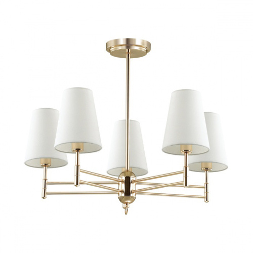 Люстра потолочная пятирожковая Lumion LN20 043 E14 220В Золото, Lumion, купить, цена, доставка, безопасность Люстра потолочная пятирожковая Lumion LN20 043 E14 220В Золото Lumion — купить по цене от 13 380 ₽ | ПрофБезопасность