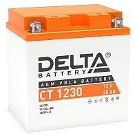 Аккумулятор Delta CT 1230 Delta Battery — купить по цене от 8&nbsp;840 ₽ | ПрофБезопасность