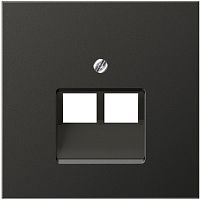 Лицевая панель Jung LS990 metal для 2-м. розетки RJ11/RJ45 антрацит Jung — купить по цене от 6&nbsp;082 ₽ | ПрофБезопасность