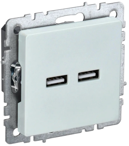 Розетка USB тип A+A без рамки IEK Brite РЮ10-1-БрЖ 2-м. 3100мА жемчуг IEK — купить по цене от 1&nbsp;680 ₽ | ПрофБезопасность