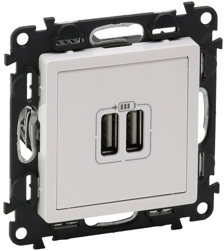 Розетка USB тип A+A без рамки Legrand Valena Life 2-м. 2400мА белый Legrand — купить по цене от 4&nbsp;615 ₽ | ПрофБезопасность