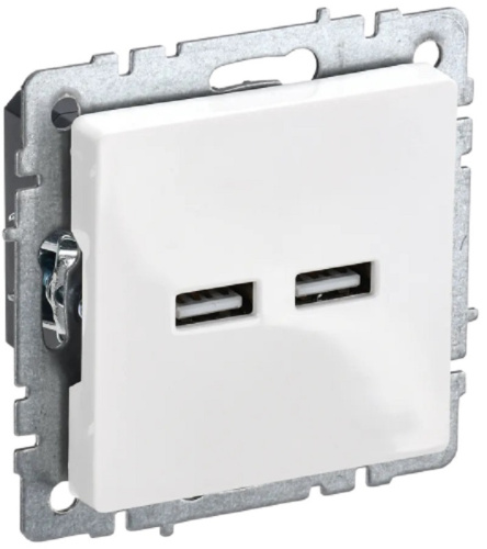 Розетка USB тип A+A без рамки IEK Brite РЮ10-1-БрБ 2-м. 3100мА белый IEK — купить по цене от 1&nbsp;290 ₽ | ПрофБезопасность