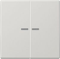 Лицевая панель Jung LS990 для 2-кл. выключателя с подсветкой серый Jung — купить по цене от 5&nbsp;239 ₽ | ПрофБезопасность