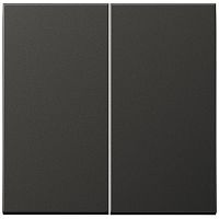Лицевая панель Jung LS990 metal для 2-кл. выключателя антрацит Jung — купить по цене от 6&nbsp;028 ₽ | ПрофБезопасность
