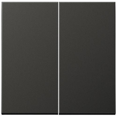 Лицевая панель Jung LS990 metal для 2-кл. выключателя антрацит Jung — купить по цене от 6&nbsp;028 ₽ | ПрофБезопасность
