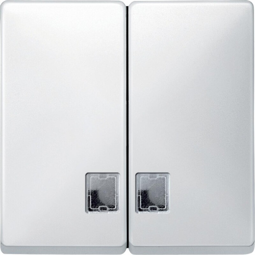 Лицевая панель Schneider Electric Merten Antique для 2-кл. выключателя с подсветкой белый Schneider Electric — купить по цене от 1&nbsp;793 ₽ | ПрофБезопасность