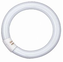 Лампа люминесцентная Osram L22W/840 T8 Трубчатая G10Q G13 220В 22Вт 1350Лм 4000К 26х216мм Osram — купить по цене от 440 ₽ | ПрофБезопасность