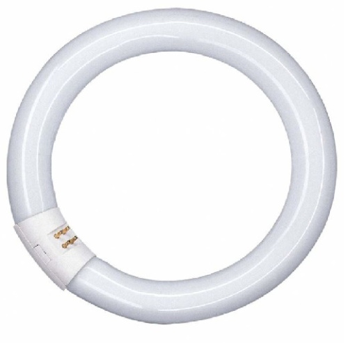 Лампа люминесцентная Osram L22W/840 T8 Трубчатая G10Q G13 220В 22Вт 1350Лм 4000К 26х216мм Osram — купить по цене от 440 ₽ | ПрофБезопасность