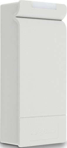 Автономный контроллер RusGuard R-10 EHT (серый)