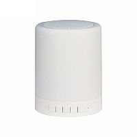 Ночник колонка LV2016 DC 5В 3Вт 160Лм Сенсор/белый DPG lighting — купить по цене от 1&nbsp;865 ₽ | ПрофБезопасность