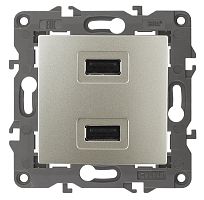 Розетка USB тип A+A без рамки Эра Elegance 2-м. 2100мА шампань