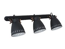 Светильник настенный Camelion New York WML-428-3 С02 3х E27 40Вт 230В Черный Camelion — купить по цене от 3&nbsp;300 ₽ | ПрофБезопасность