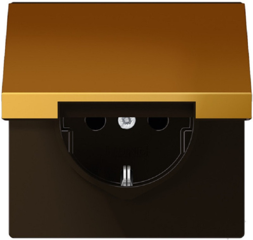 Розетка с заземлением без рамки Jung LS990 metal 1-м. крышка шторки для IP44 золото, Jung, купить, цена, доставка, безопасность Розетка с заземлением без рамки Jung LS990 metal 1-м. крышка шторки для IP44 золото Jung — купить по цене от 42 087 ₽ | ПрофБезопасность