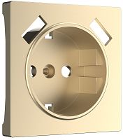 Лицевая панель Werkel для 1-м. розетки 220В+2хUSB шампань металик
