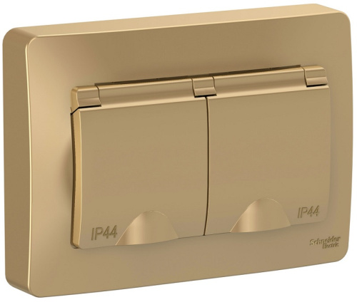 Розетка с заземлением Systeme Electric Blanca 1-м. 2-мод. крышка шторки IP44 титан