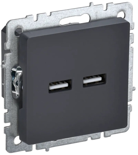 Розетка USB тип A+A без рамки IEK Brite РЮ10-1-БрГ 2-м. 3100мА графит IEK — купить по цене от 1&nbsp;930 ₽ | ПрофБезопасность