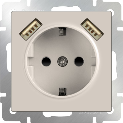Розетка с заземлением +2хUSB тип A+A без рамки Werkel 1-м. шторки слоновая кость глянцевый Werkel — купить по цене от 4&nbsp;000 ₽ | ПрофБезопасность фото 2