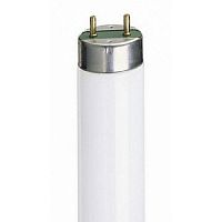 Лампа светодиодная PLED T8 G13 10Вт 6500К JazzWay JazzWay — купить по цене от 190 ₽ | ПрофБезопасность