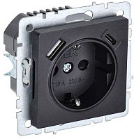 Розетка с заземлением +2xUSB тип A+C без рамки IEK Brite РЮш11-1-БрЧ 1-м. черный