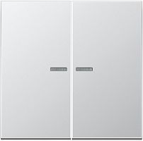 Лицевая панель Jung LS990 metal для 2-кл. выключателя с подсветкой алюминий Jung — купить по цене от 5&nbsp;029 ₽ | ПрофБезопасность