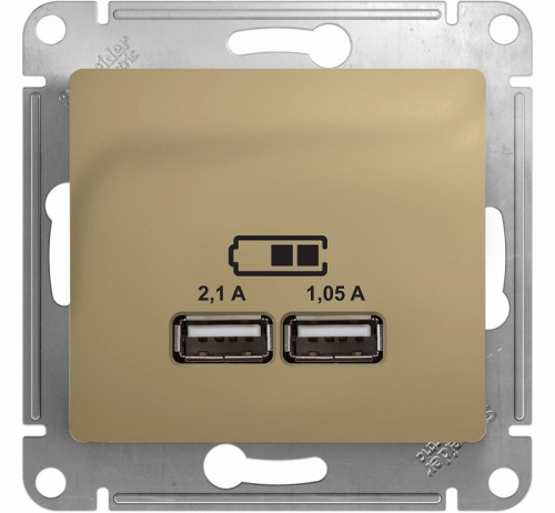 Розетка USB тип A+A без рамки Systeme Electric Glossa 2-м. 2100мА титан Systeme Electric — купить по цене от 3&nbsp;496 ₽ | ПрофБезопасность