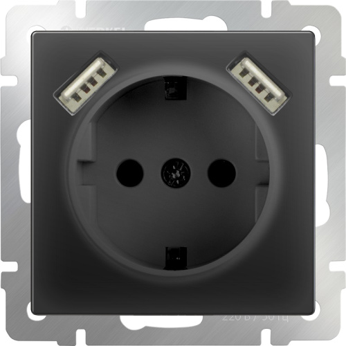 Розетка с заземлением +2хUSB тип A+A без рамки Werkel 1-м. шторки черный матовый, Werkel, купить, цена, доставка, безопасность фото 2 Розетка с заземлением +2хUSB тип A+A без рамки Werkel 1-м. шторки черный матовый Werkel — купить по цене от 3 500 ₽ | ПрофБезопасность фото 2