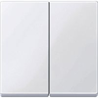 Лицевая панель Schneider Electric Merten System M для 2-кл. выключателя активно-белый