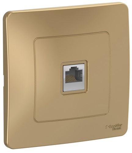 Розетка компьютерная с рамкой Systeme Electric Blanca 1-м. RJ45 5e титан