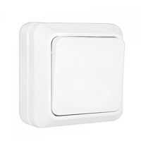 Выключатель накладной ASD Bolleto 7021 1-кл. белый ASD — купить по цене от 80 ₽ | ПрофБезопасность