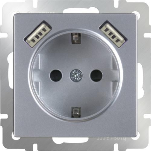 Розетка с заземлением +2хUSB тип A+A без рамки Werkel 1-м. шторки серебряный глянцевый Werkel — купить по цене от 4&nbsp;680 ₽ | ПрофБезопасность фото 2