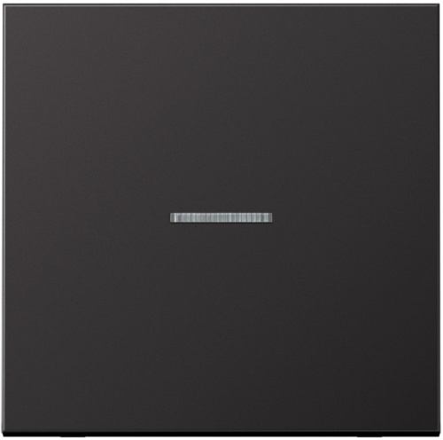 Лицевая панель Jung LS990 metal для 1-кл. выключателя с подсветкой алюминий темный  Jung — купить по цене от 6&nbsp;028 ₽ | ПрофБезопасность