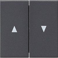 Лицевая панель Gira System55 для 2-кл. выключателя жалюзи антрацит Gira — купить по цене от 1&nbsp;270 ₽ | ПрофБезопасность