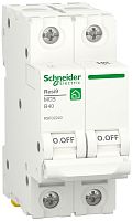 Выключатель автоматический Schneider Electric Resi9 2п 40A B 6кА 