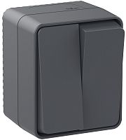 Выключатель накладной Systeme Electric AtlasDesign Profi54 2-кл. IP54 антрацит