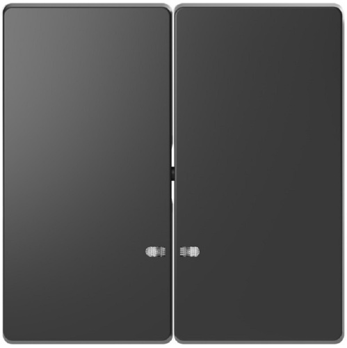 Лицевая панель Schneider Electric Merten D-Life для 2-кл. выключателя с подсветкой антрацит  Schneider Electric — купить по цене от 1&nbsp;908 ₽ | ПрофБезопасность