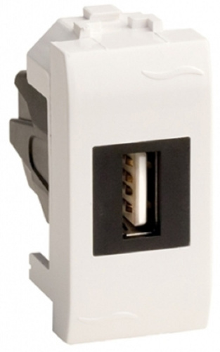 Розетка USB для кабель-канала DKC Brava 1 мод. 2.0А белый DKC — купить по цене от 1&nbsp;901 ₽ | ПрофБезопасность