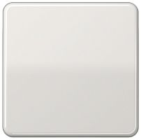 Лицевая панель Jung CD500 для 1-кл. выключателя светло-серый картинка