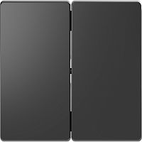 Лицевая панель Schneider Electric Merten D-Life для 2-кл. выключателя антрацит 