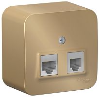 Розетка телефон+компьютер накладная Systeme Electric Blanca 2-м. RJ11+RJ45 5е титан