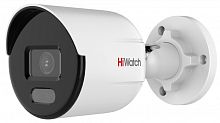 Видеокамера IP Hiwatch DS-I250L(C) (2.8мм) картинка